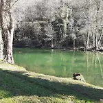 Sons Do Eo- Ecologico En Galicia * Baleira