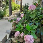 Sons Do Eo- Ecologico En Galicia