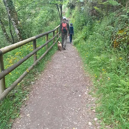 아파트 Sons Do Eo- Ecologicos En La Montana De Lugo *