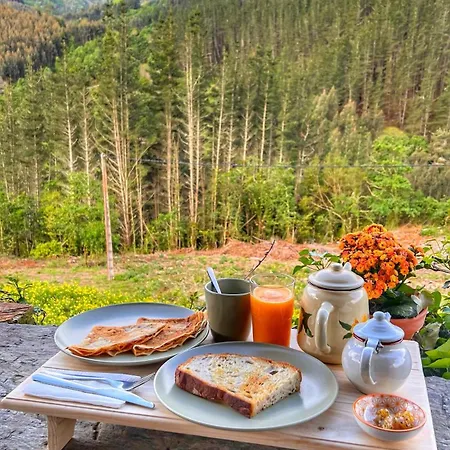 Sons Do Eo- Ecologicos En La Montana De Lugo