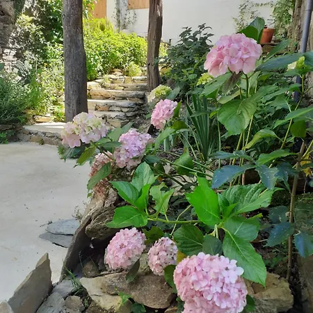 Sons Do Eo- Ecologicos En La Montana De Lugo