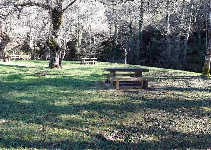 Sons Do Eo- Ecologico En Galicia *