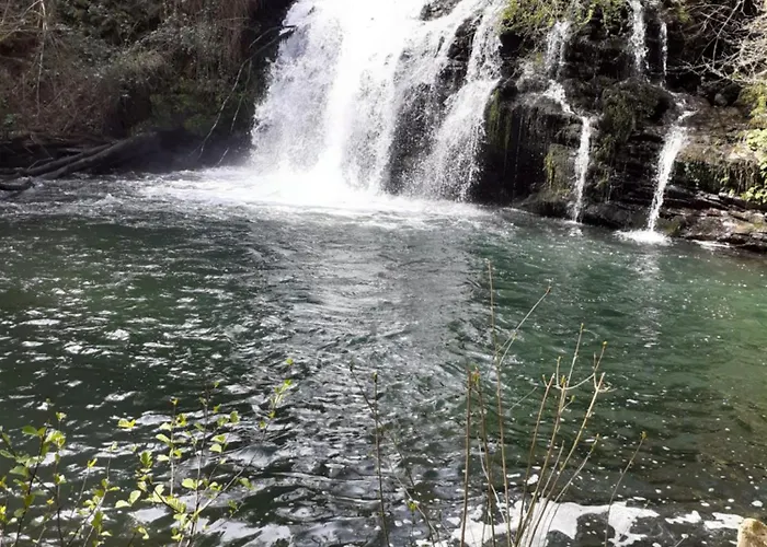 Sons Do Eo- Ecologicos En La Montana De Lugo