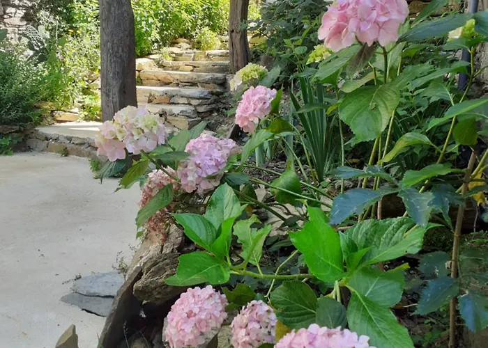 Sons Do Eo- Ecologicos En La Montana De Lugo